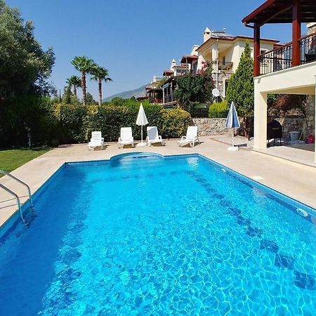 Villa Avilia 费特希耶 外观 照片